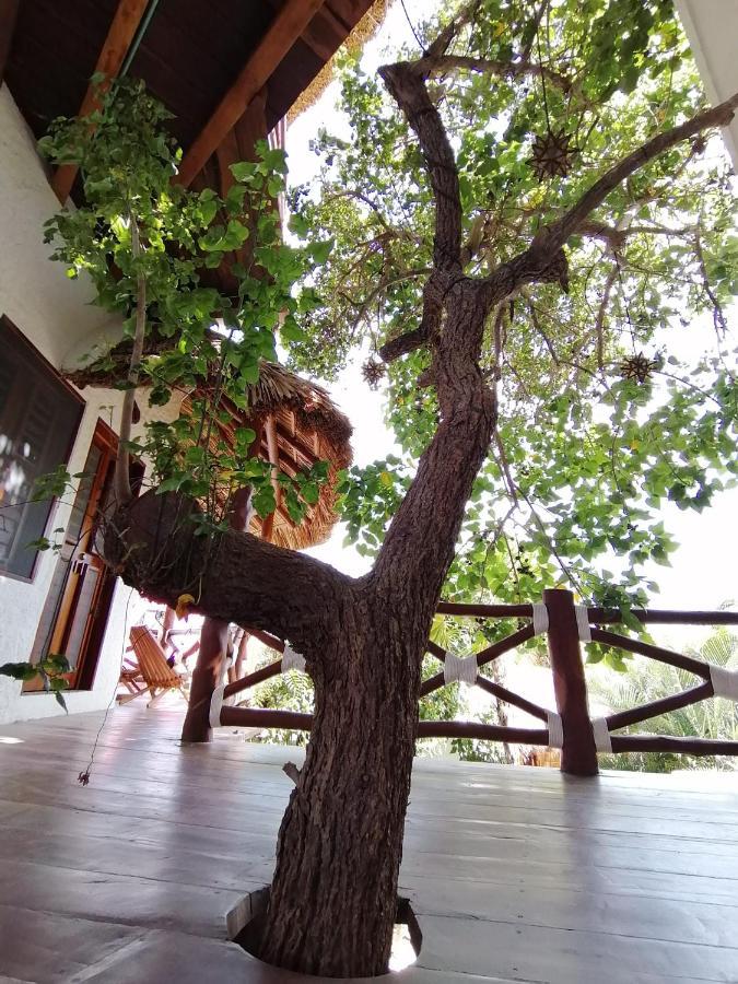 Casa Mech Hotel Holbox Eksteriør billede